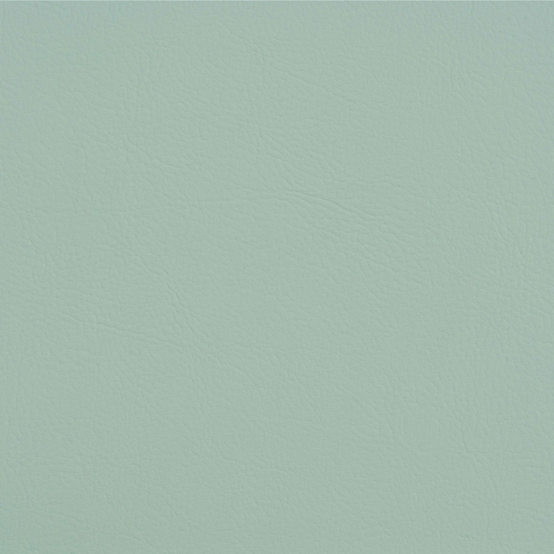 TSVA-2106 coral